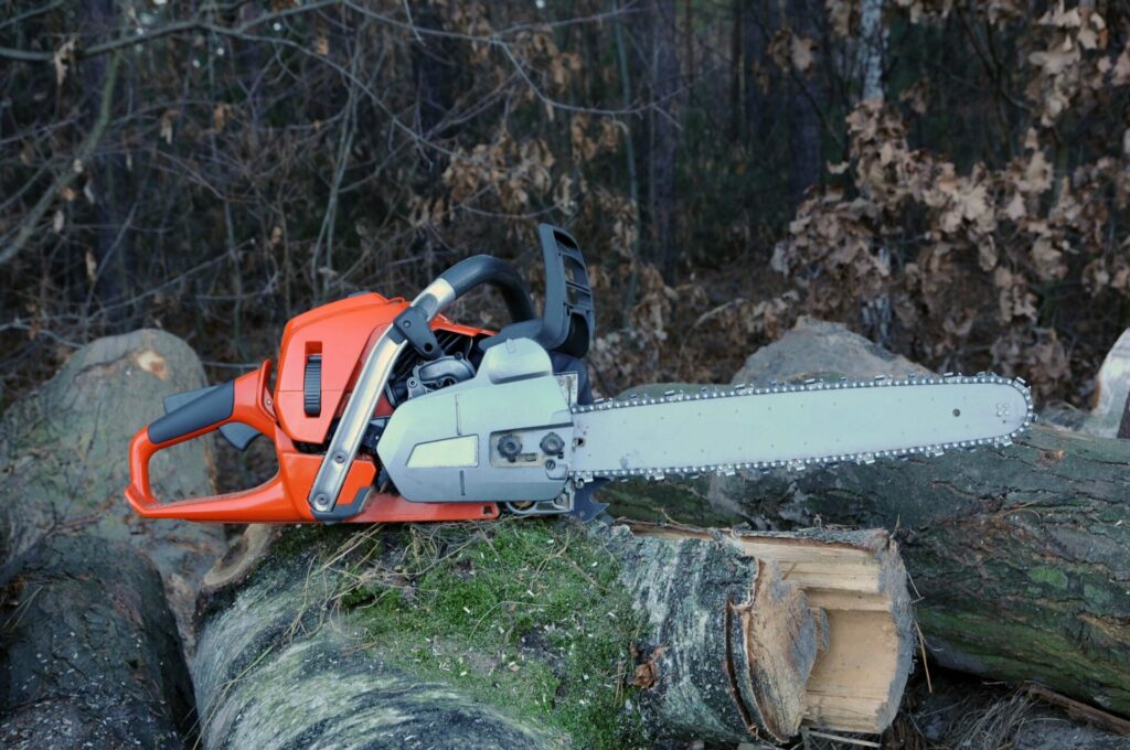 expert tree removal business service company