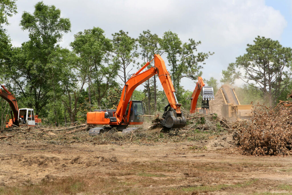 What do I need to know about land clearing