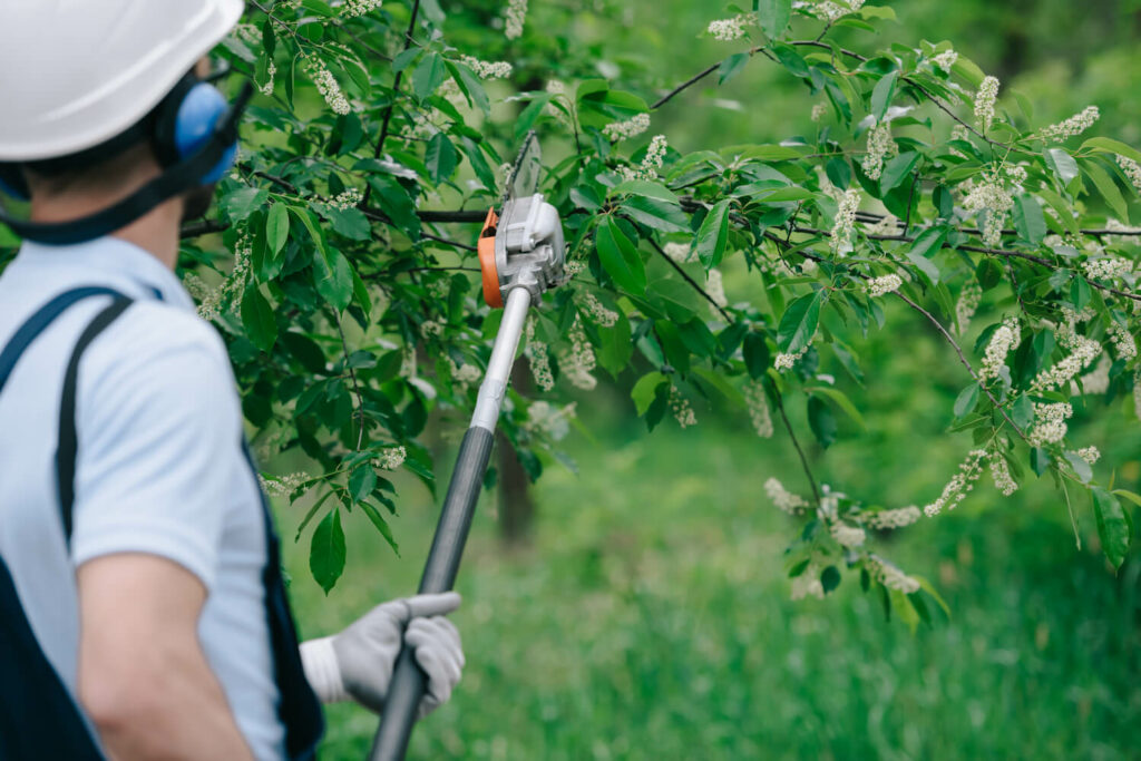 benefits of trimming trees