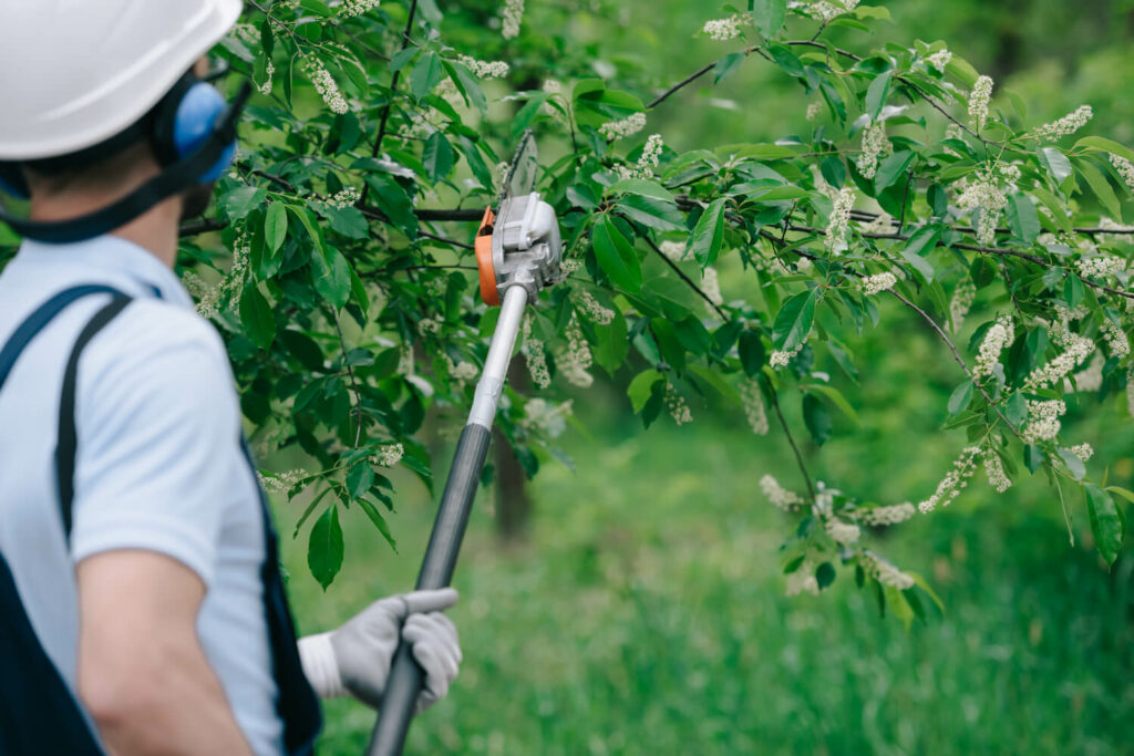 benefits of trimming trees at home learn grinding